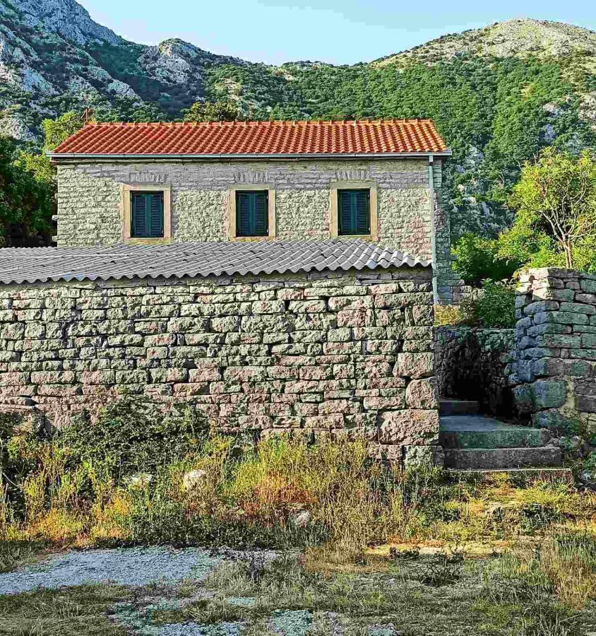 הוילה הרצג-נובי Old House Djurovic מראה חיצוני תמונה